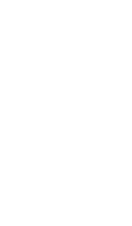 multiple arrows